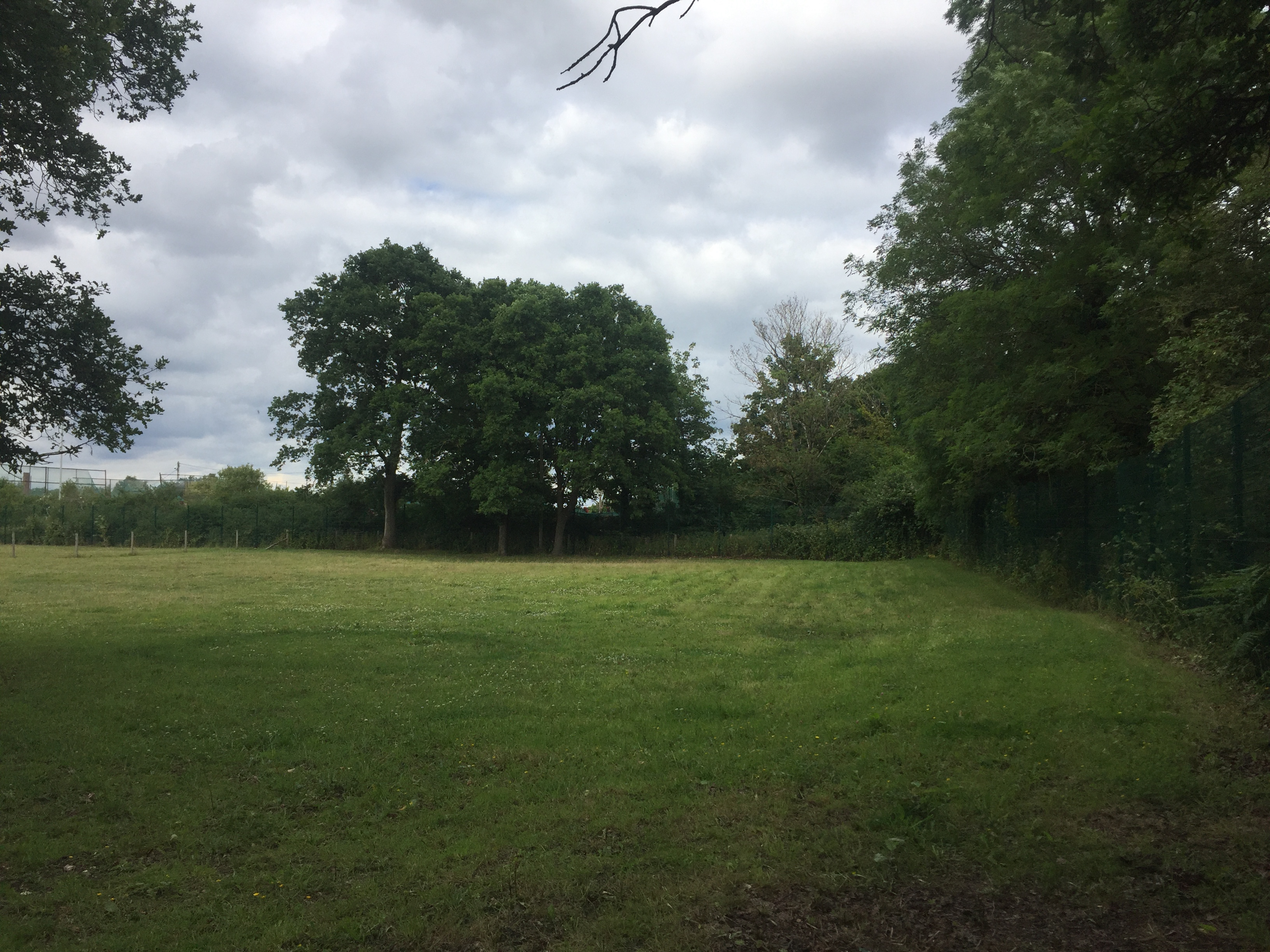 dog walking fields securely fenced