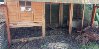 Chicken Coops And Runs Local Classifieds For Sale In Leeds West