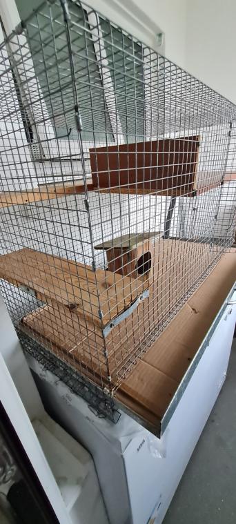 Ferret Cage for sale in UK 21 secondhand Ferret Cages