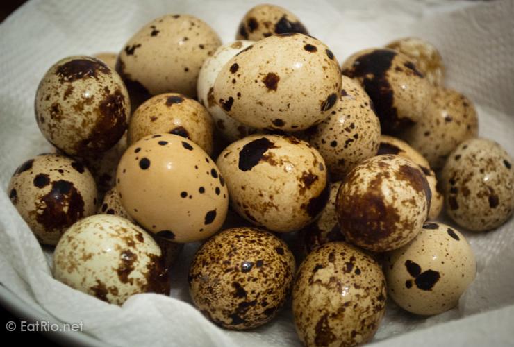 Guaranteed fertilise quail eggs For Sale in Corringham, Essex Preloved