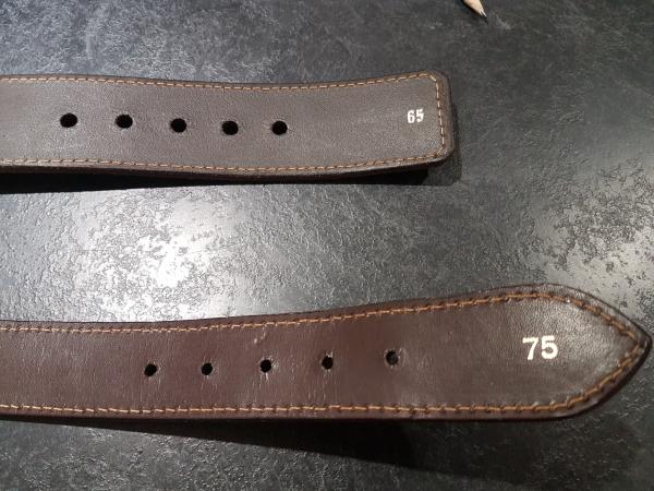 Image 3 of Leather Dog collars